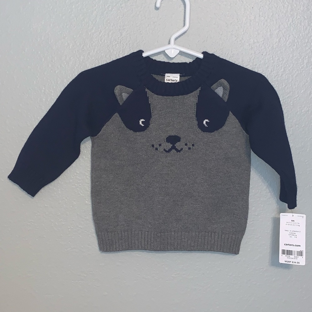 Raccoon Sweater